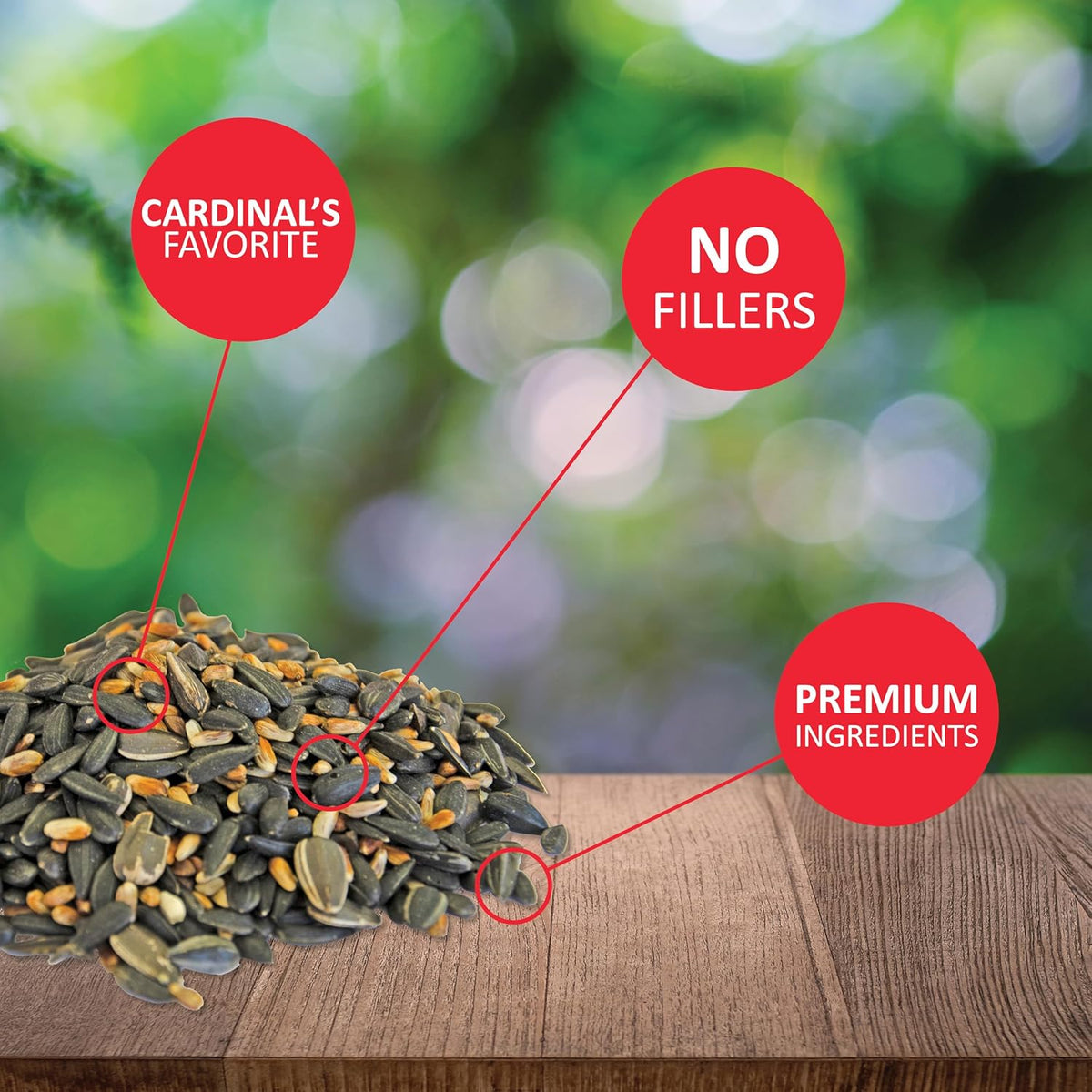 Lyric Cardinal Wild Bird Seed - Sunflower & Safflower Premium Bird Food Mix for Cardinals