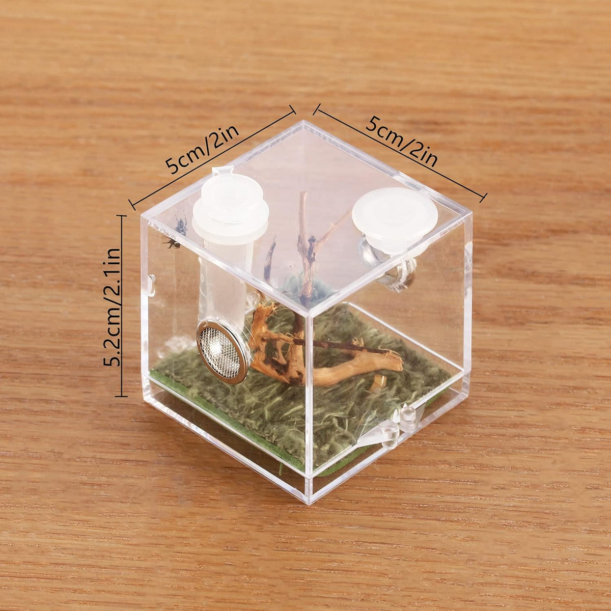 crapelles Jumping Spider Micro Middle Habitat, Small Pet Insect Breeding Box, 360 Degree
