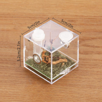 crapelles Jumping Spider Micro Middle Habitat, Small Pet Insect Breeding Box, 360 Degree
