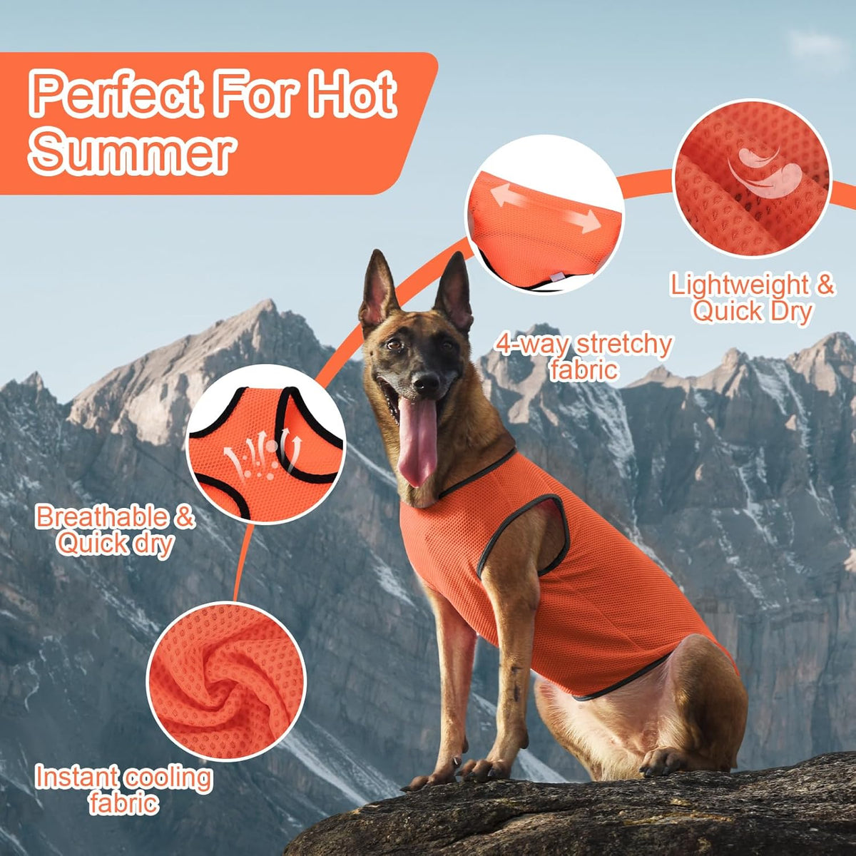 2 Pack Cooling Shirts for Dogs, Lightweight Mesh Breathable Dog Clothes for Medium Dogs Boy
