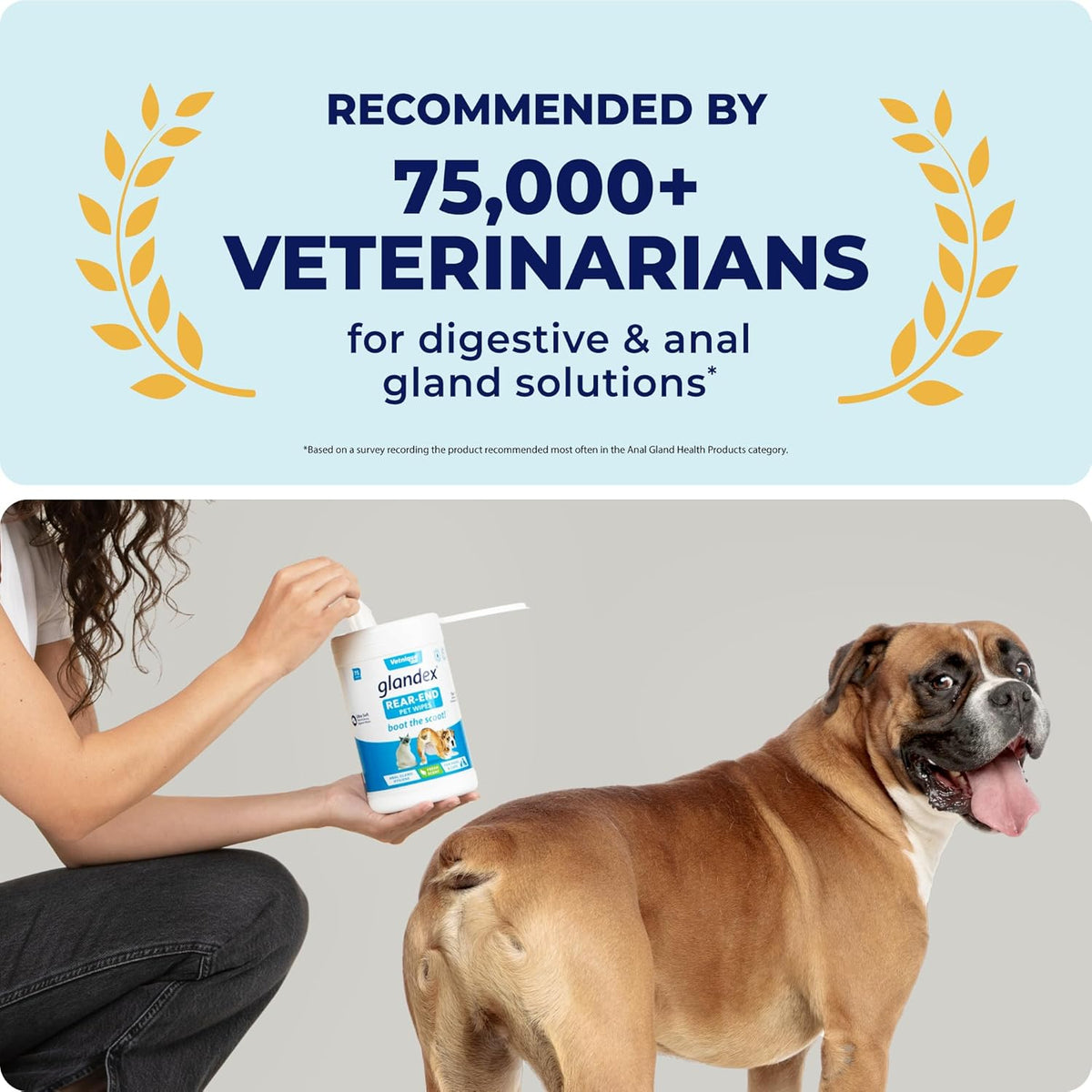 Vetnique Labs Glandex Dog Wipes for Pets Cleansing & Deodorizing Anal Gland Hygienic Dog & Cat