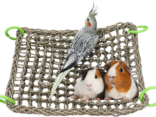 16 x 12 Inches Bird Seagrass Mat, Natural Seagrass Woven Net, Bird Hammock Mat with Hooks, Bird