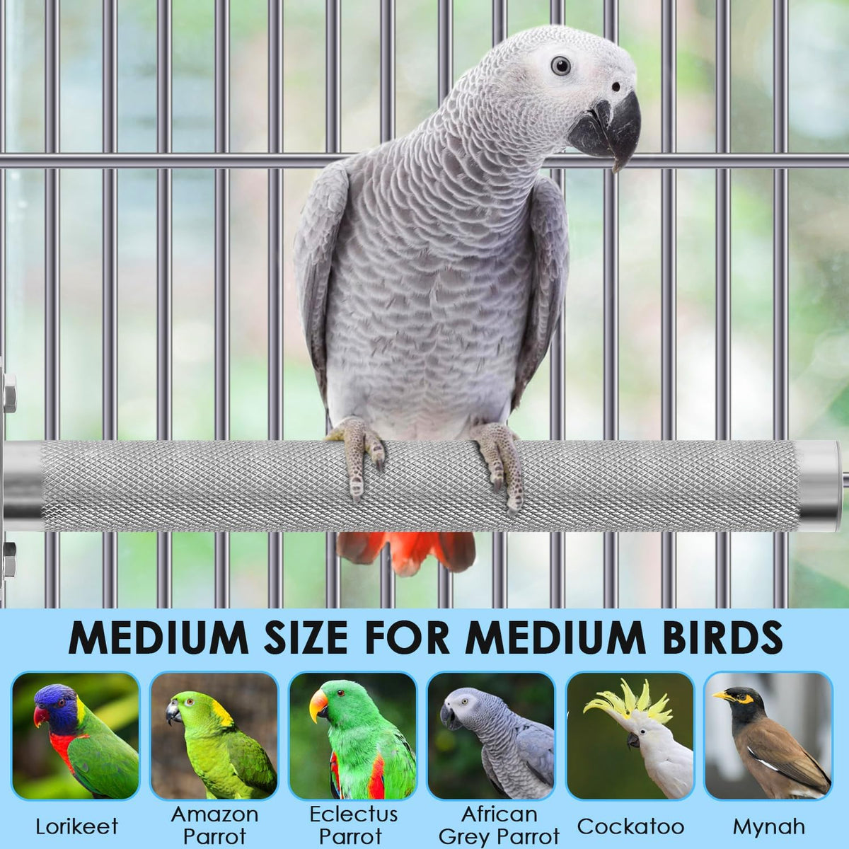 KATUMO Bird Perch - Stainless Steel - Rough Surface Stand for Small to Medium Parrots (9.8 x 1.0