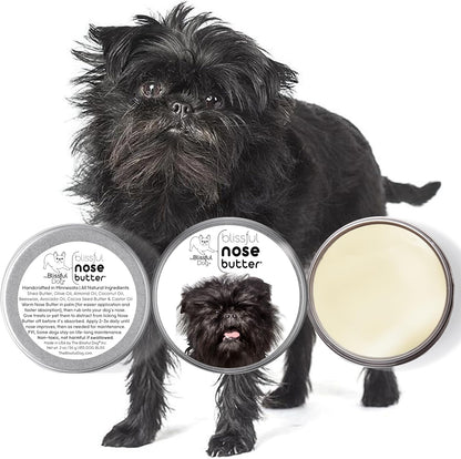 The Blissful Dog Affenpinscher Nose Butter for Dry, Cracked Skin, Lick-Safe Dog Nose Balm with