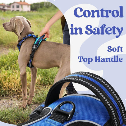 rabbitgoo Dog Harness Medium Sized, No Pull Pet Harness with 3 Buckles, Adjustable Soft Padded Vest