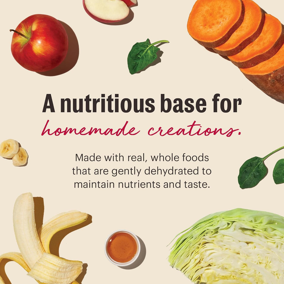The Honest Kitchen Human Grade Dehydrated Grain Free Fruit & Veggie Base Mix Dog Food (Just Add