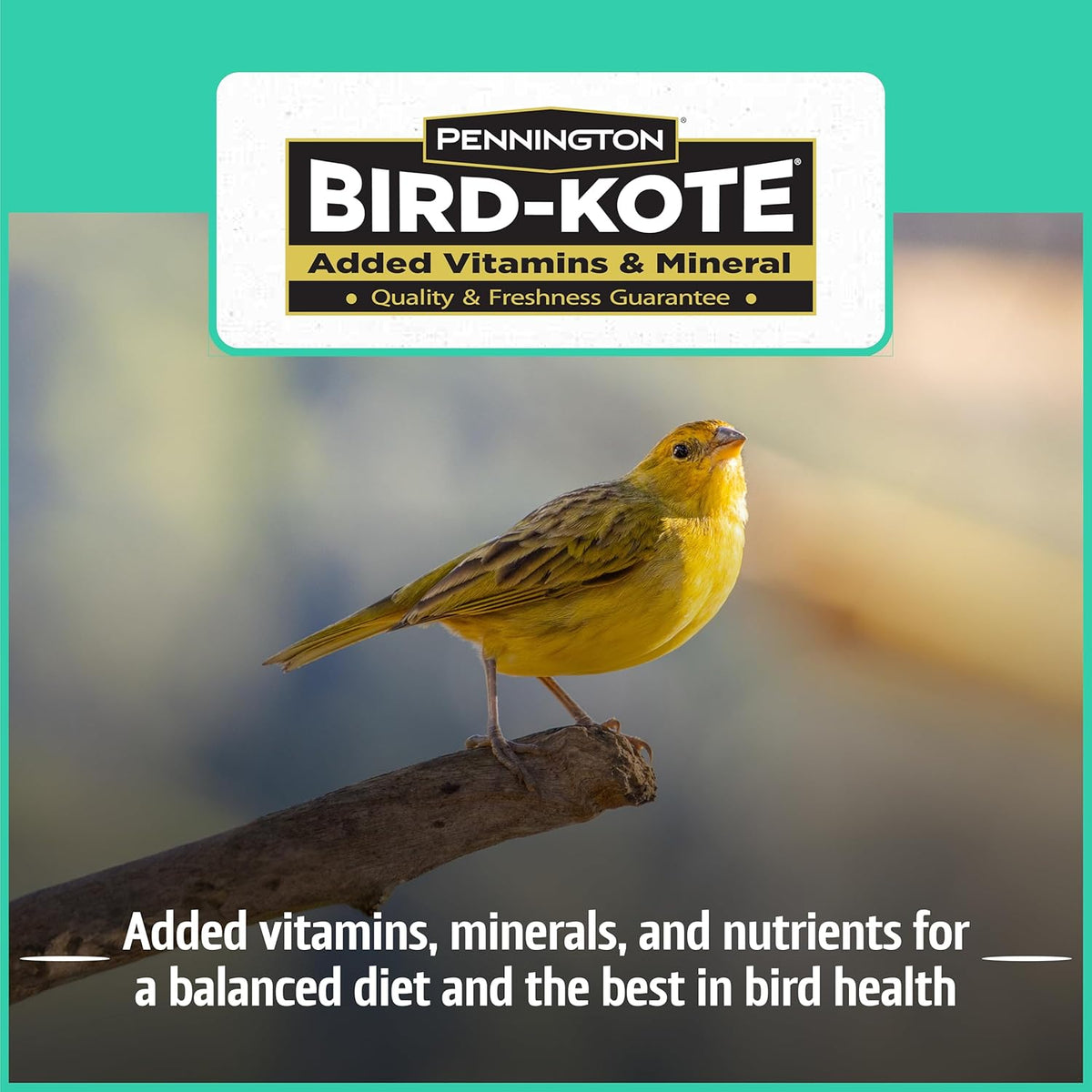 Pennington Pride Wild Finch Blend, Wild Bird Seed for Outside Feeders, Special Mix for a Variety of