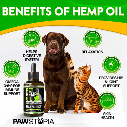 (2 Pack) Hemp Oil for Dogs and Cats - Helps Pets with Anxiety, Pain, Stress, Sleep, Arthritis