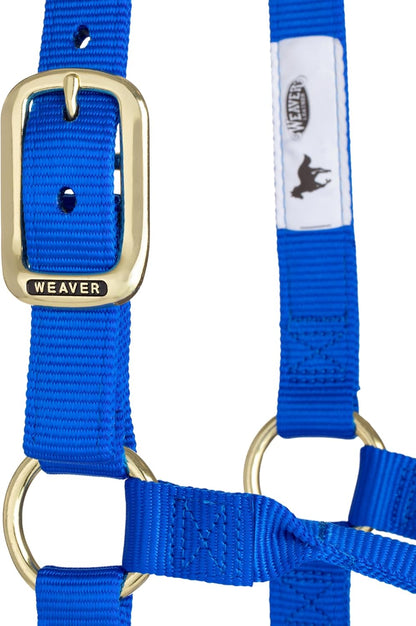 Weaver Equine Nylon Horse Halter, Triple-Ply Cheek Design, Original Non Adjustable Halters for