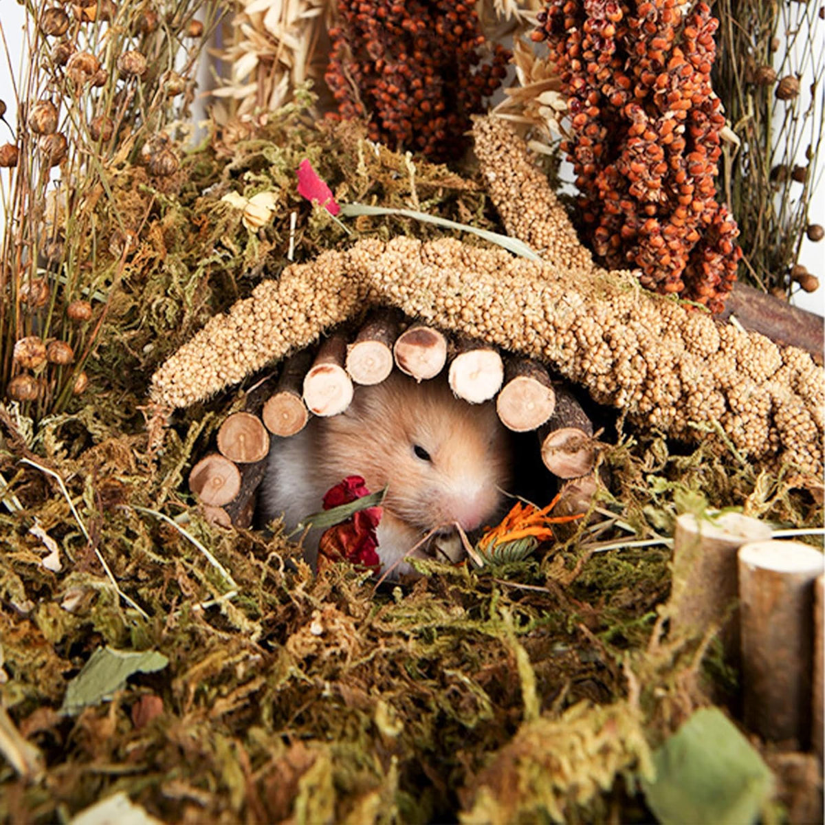 Natural Ear of Grain Flower&Herb Bedding Mate Habitat Decor, Adding Fun Hamster Accessories for