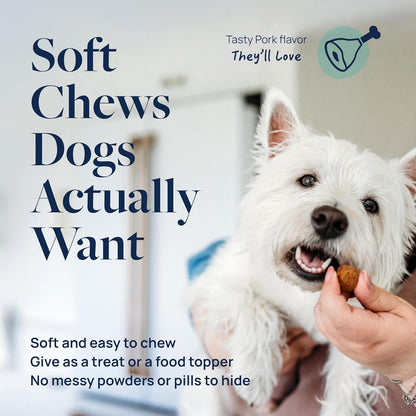 Veterinary Formula Dental Health Supplement for Dogs – Vet-Formulated Chews with EpiCor® & Kelp