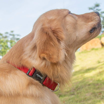 Hyhug Dog Collar with Quick Release Buckle, Nylon Adjustable Durable Cute Pet Collars for Medium