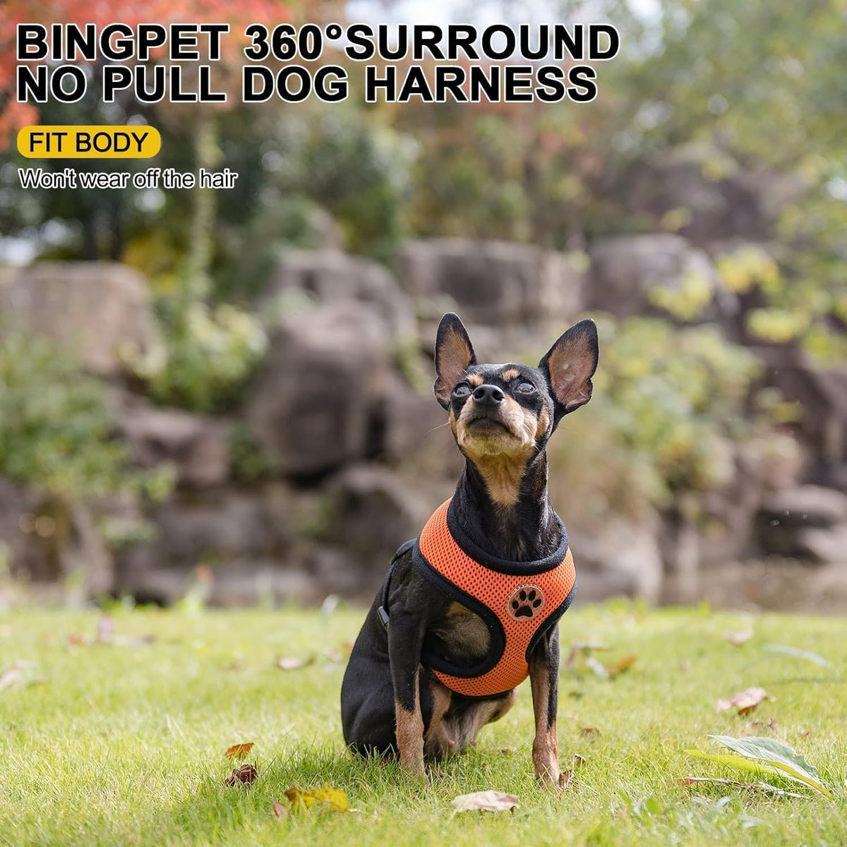 BINGPET No Pull Dog Harness,Soft Mesh Breathable All Weather Vest Harness,Safety Protection Design