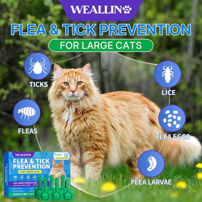 Flea and Tick Prevention for Large Cat, Fleas and Ticks Treatment for Cats Over 9 lbs, Topical Cat