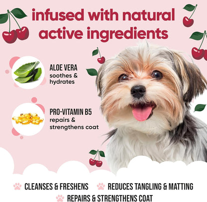 Black Cherry Dog Shampoo by Buddycare | Deep Cleansing Shampoo for Dogs | Black Cherry Scented |