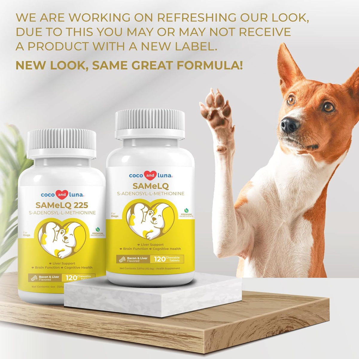 Same for Dogs - 120 Chewable Tablets - S-Adenosyl-L-Methionine, Liver Supplement - Brain Health