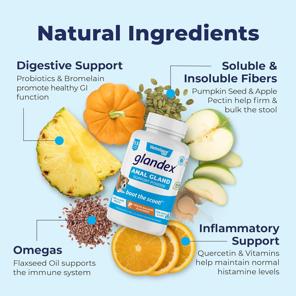 Glandex Dog Fiber Supplement Powder for Anal Glands with Pumpkin, Digestive Enzymes & Probiotics