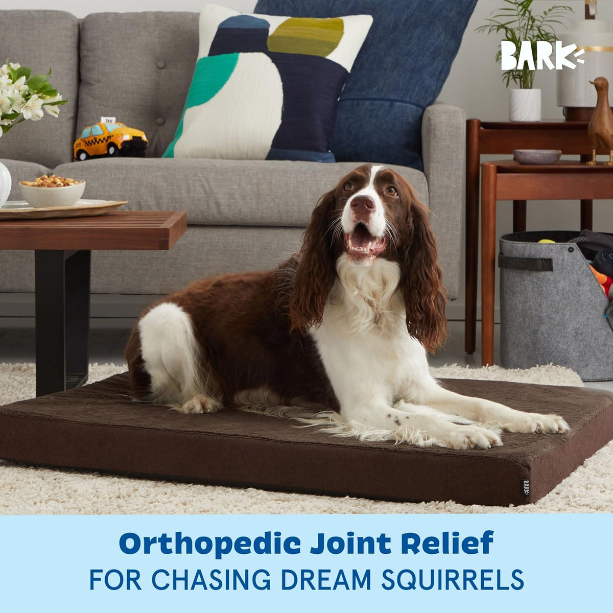 Barkbox Orthopedic Dog Bed with Memory Foam, Premium Comfort for Dogs and Puppies, Dog Bed for