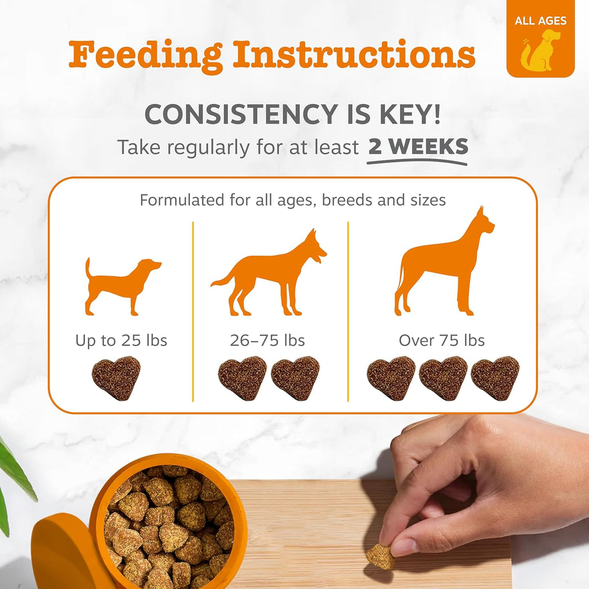 Zesty Paws Probiotics for Dogs - Digestive Enzymes for Gut Flora, Digestive Health, Diarrhea &