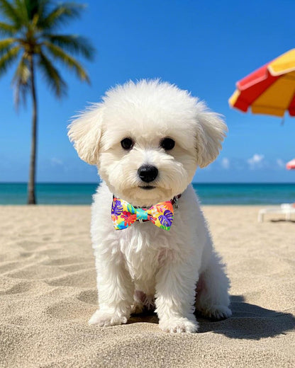 PET SHOW 10 Pack Summer Small Dog Bow Ties Sliding Collar Attachments Puppy Cats Hawaiian Bowties
