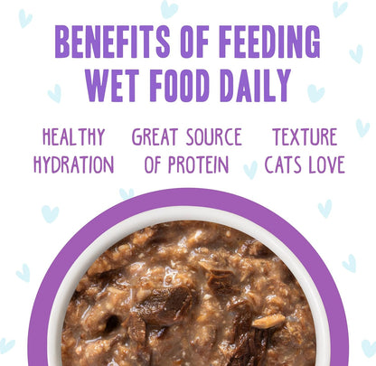 Weruva B.F.F. OMG - Best Feline Friend Oh My Gravy!, Booya! Beef & Chicken in Gravy Cat Food, 2.8oz