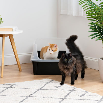 IRIS USA XX-Large Cat Litter Box, Open Top Extra Large Litter Box for Big Cats and Multi-Cat