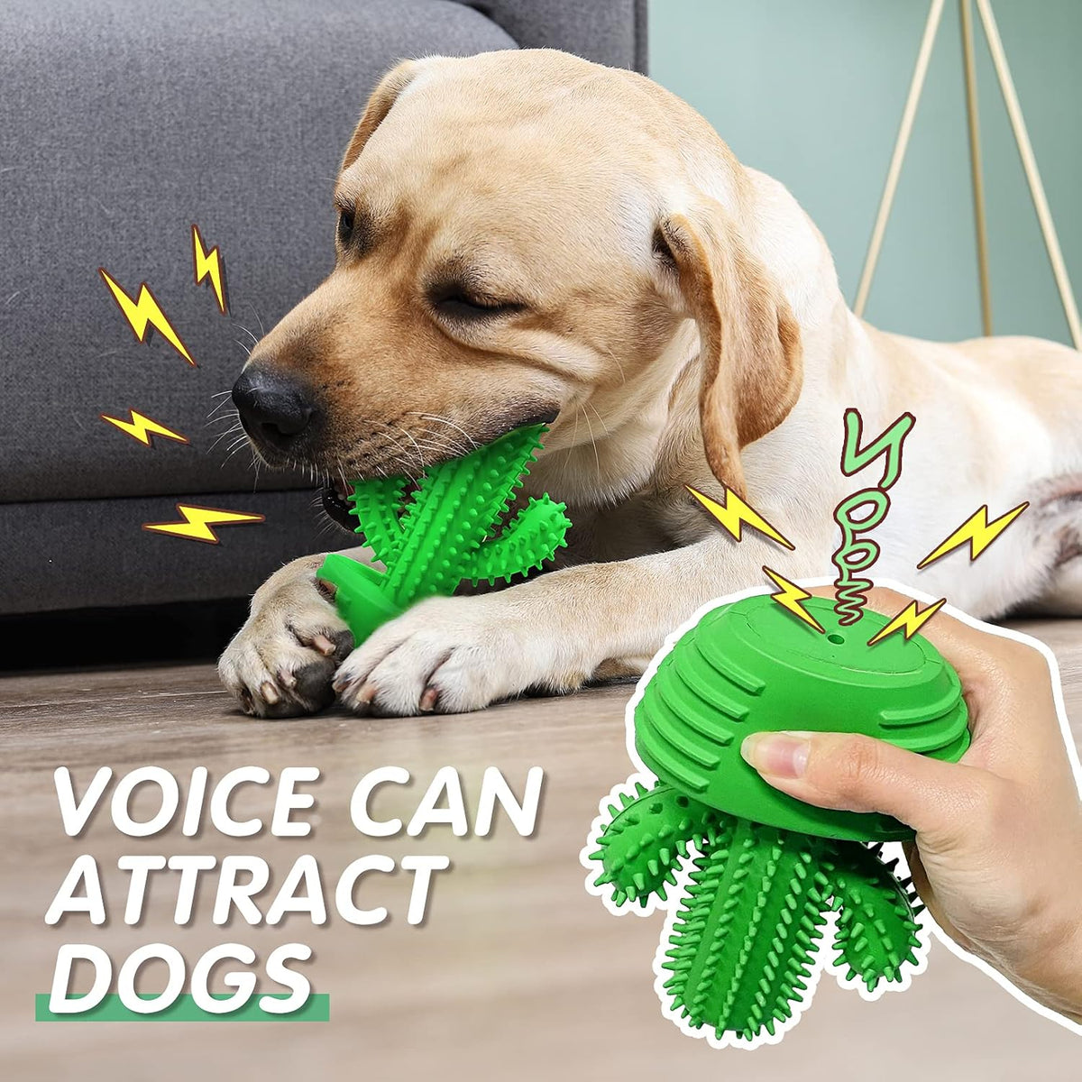 Dog Chew Toys Dog Toothbrush Stick Teeth Cleaning Brush Dental for Medium Large Dog, Puppy
