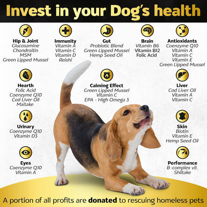 Soft Chews Dog Vitamins & Supplements - Dog Multivitamin - Hemp Oil Glucosamine Chondroitin Hip and