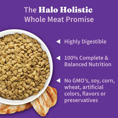Halo Holistic Cage Free Chicken Cat Food, Healthy Grains Dry Cat Food, Complete Digestive Health