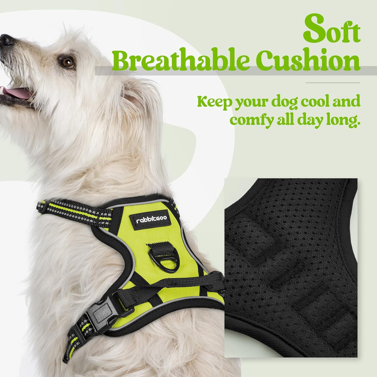 rabbitgoo Dog Harness No Pull with 2 Leash Clips, Adjustable Soft Padded, Reflective Oxford No