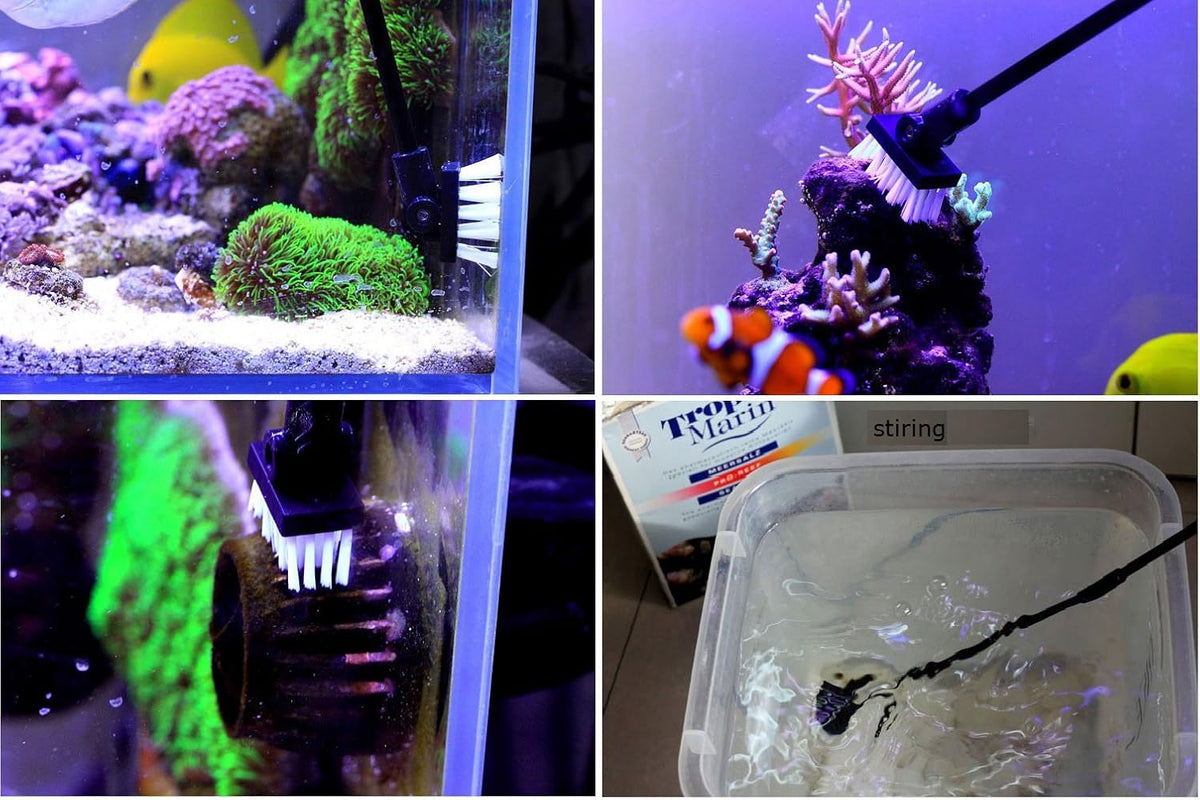 Aquarium Algae Scraper Cleaner Brush with 10 Stainless Steel Blades for Fish Reef Plant Glass Tank