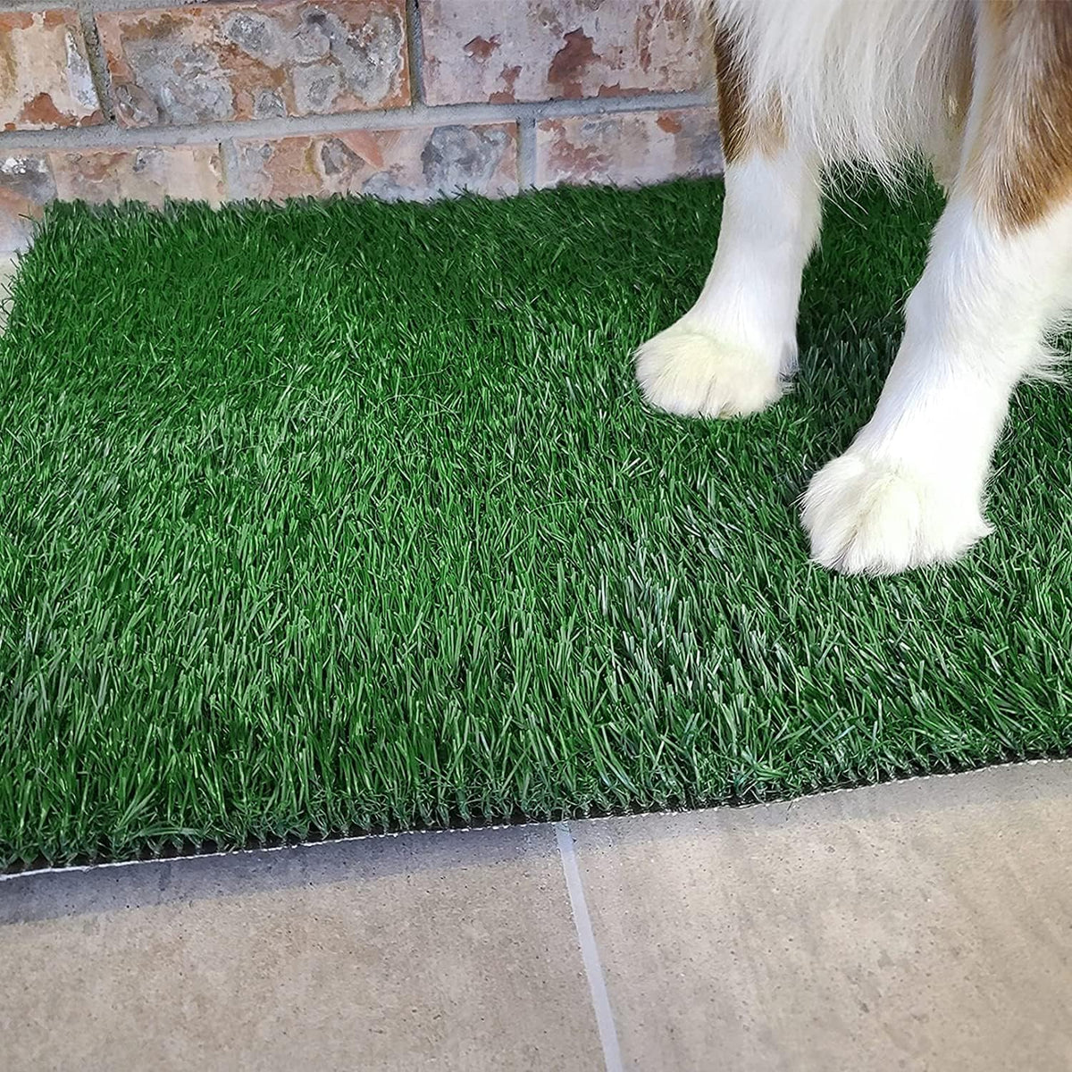 Dog Grass Pet Loo Indoor/Outdoor Portable Potty, Dog Litter Box, Artificial Grass Patch Bathroom