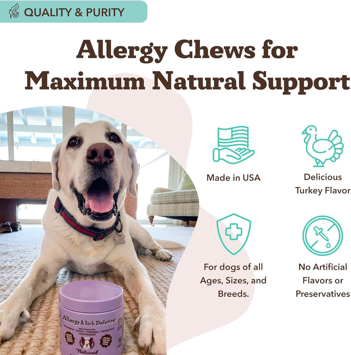 Natural Dog Company Allergy & Itch Defense Chews – Allergy Support for Dogs, Itch Relief, Skin