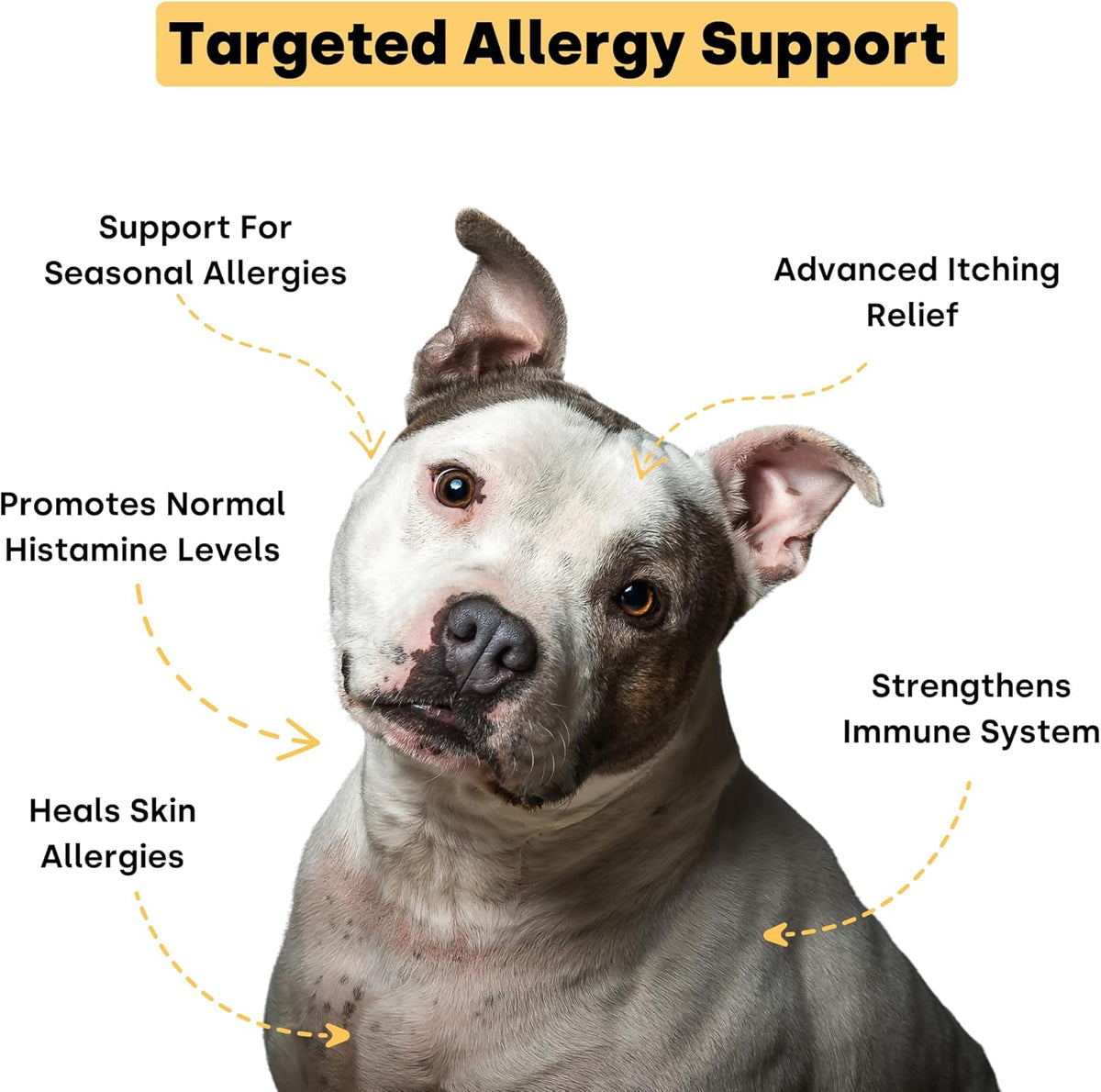 Kayode Itch & Allergy - Natural Dog Allergy Chews with Advanced Itch Relief. Premium Colostrum &