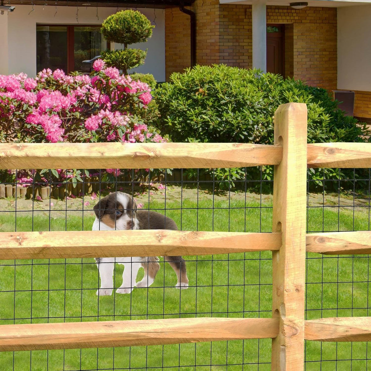 Black PVC Coated Welded Wire Fence 48 Inch x 25 Foot, 2 Inch x 3 Inch 16GA, Garden Border Fencing