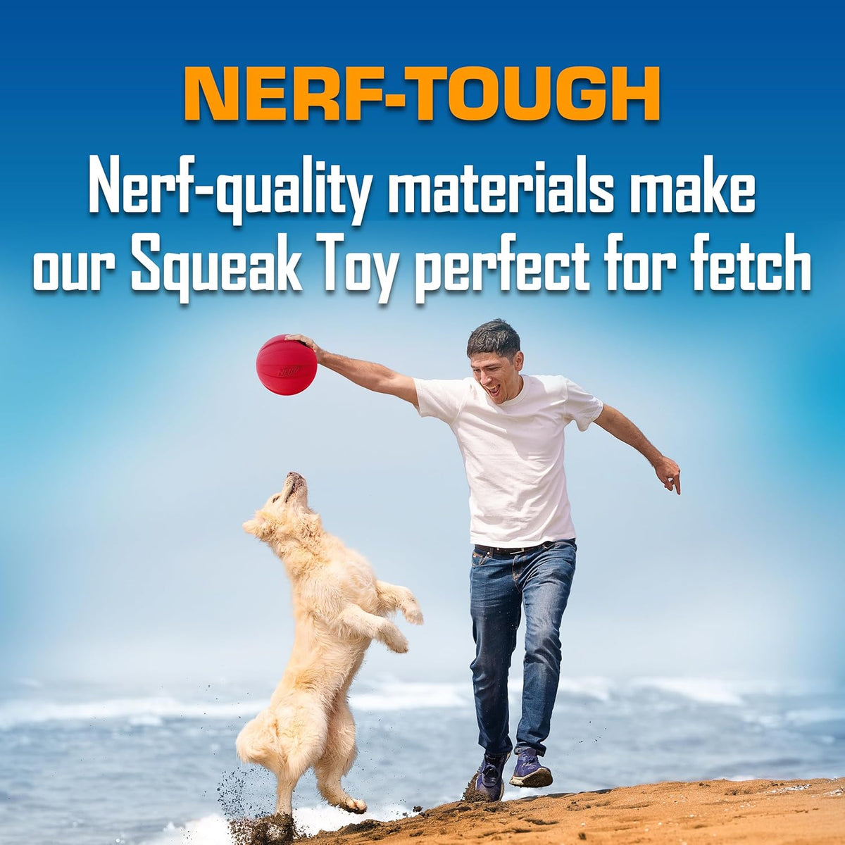 Nerf Dog Classic Squeak Ball Outdoor Dog Toys, 3.8 Inch Dog Ball Fetch Toy, Squeaking Toy for