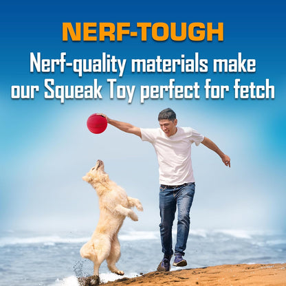 Nerf Dog Classic Squeak Ball Outdoor Dog Toys, 3.8 Inch Dog Ball Fetch Toy, Squeaking Toy for