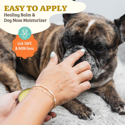 Natural Dog Company Snout Soother, Dog Nose Balm, Wax & Cream for Dry, Cracked Noses, Heals &