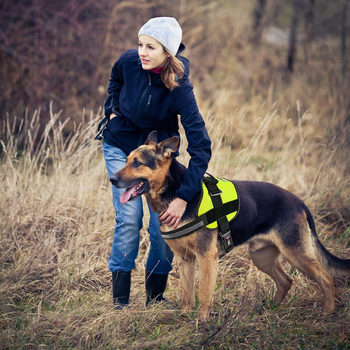 Dogline Dog Harness, Reflective No-Pull Adjustable Vest with Handle for Walking, Training