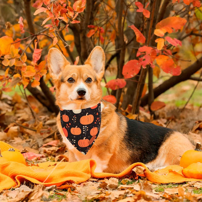 PTDECOR Fall Dog Bandana, Pumpkin Mushroom Design Scarf Reversible Holiday Dog Scarf, Triangle