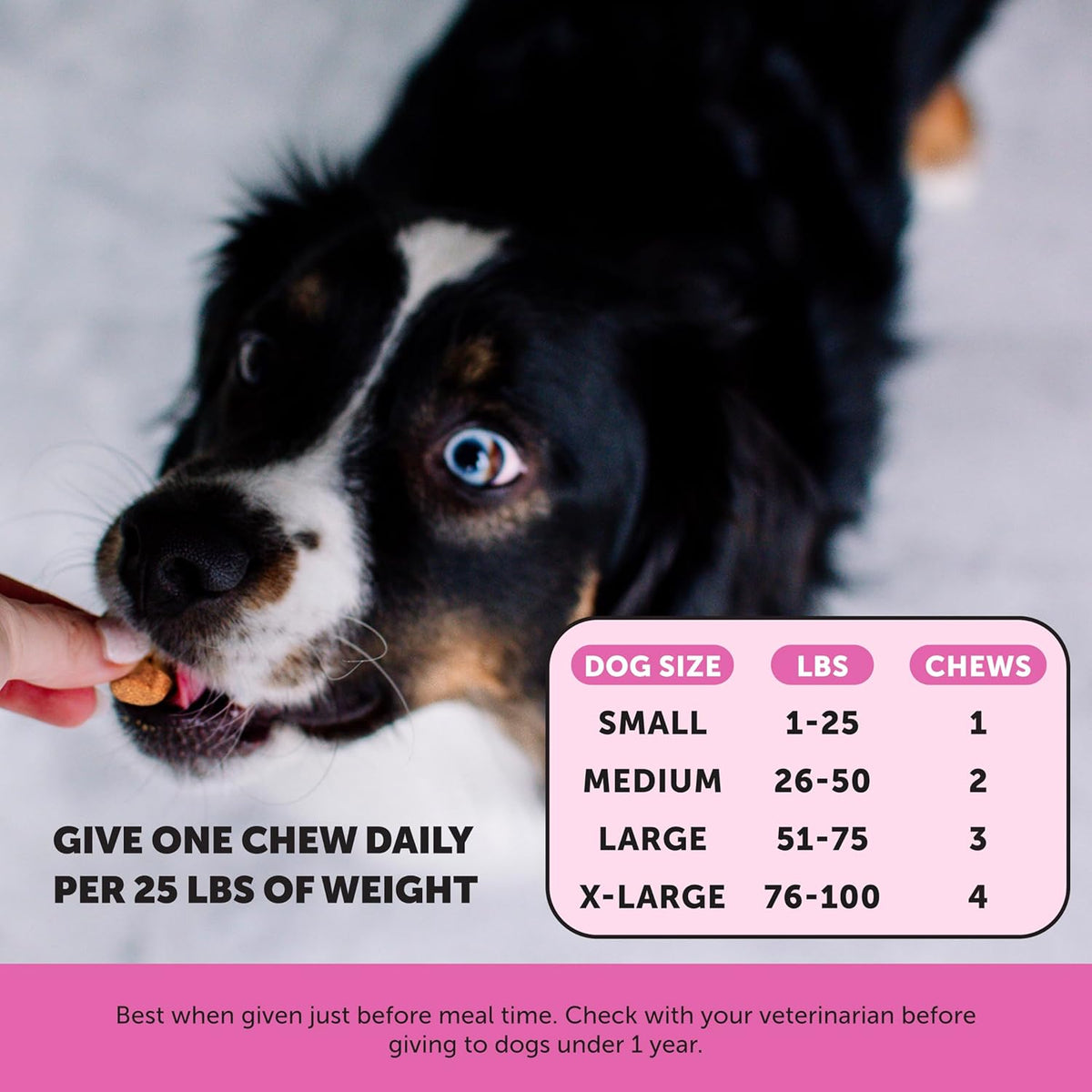 Dog Multivitamin Max Strength - 15 in 1 Vitamins for Health & Heart - Essentials Fish Oil