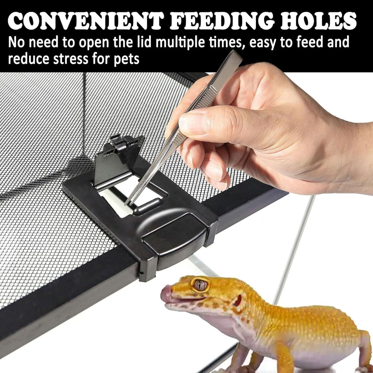 BNOSDM Reptile Tank,8" x 8" x 6" Mini Reptiles Terrarium,Full View Young Lizard Glass Tank,Small