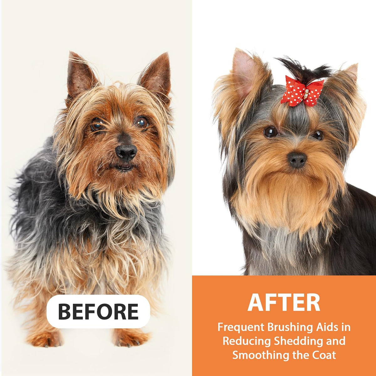 Dog Brush for Long Haired Dogs, 27mm Extra Long Pin Brush for Grooming, Shedding - Beech Wood