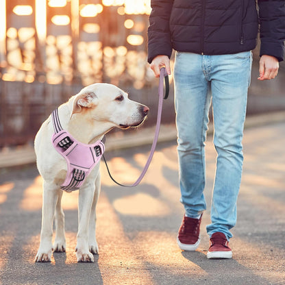 BUMBIN Dog Harness for Large Dogs, No Pull Adjustable No Choke Pet Vest with Dog Leash Fit Smart