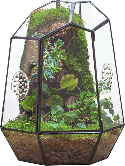 NCYP Closed Geometric Glass Enclosure with Front Opening Door & 2 Vent Holes for Insects