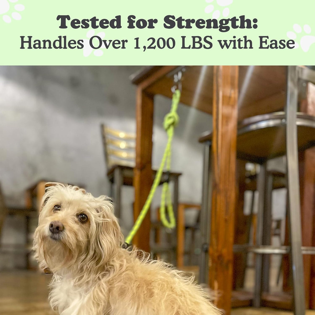 Canine Hitch- Secure Dog Leash Parking Mounted Indoor – Outdoor Wall Hook - Tie Out Stainless Steel