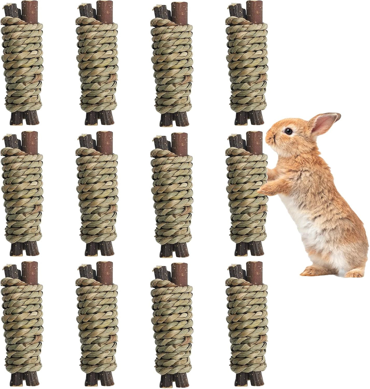 Fhiny 12 PCS Guinea Pigs Chew Toys, Natural Apple Branch Seagrass Molar Sticks for Teeth Bunny Chew