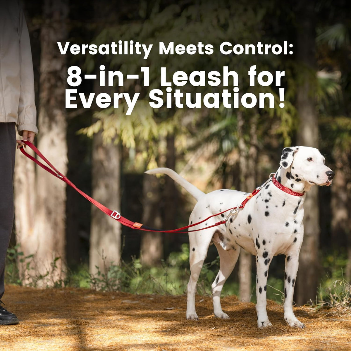 HOWGO 8-in-1 Multifunctional Hands Free Dog Training Leash with Padded Handle, 8.5 FT Nylon