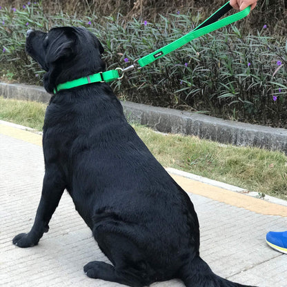 Hyhug Martingale Dog Collar Without Buckle: Anti Escape, No Slip Heavy Duty Nylon, Colorfast