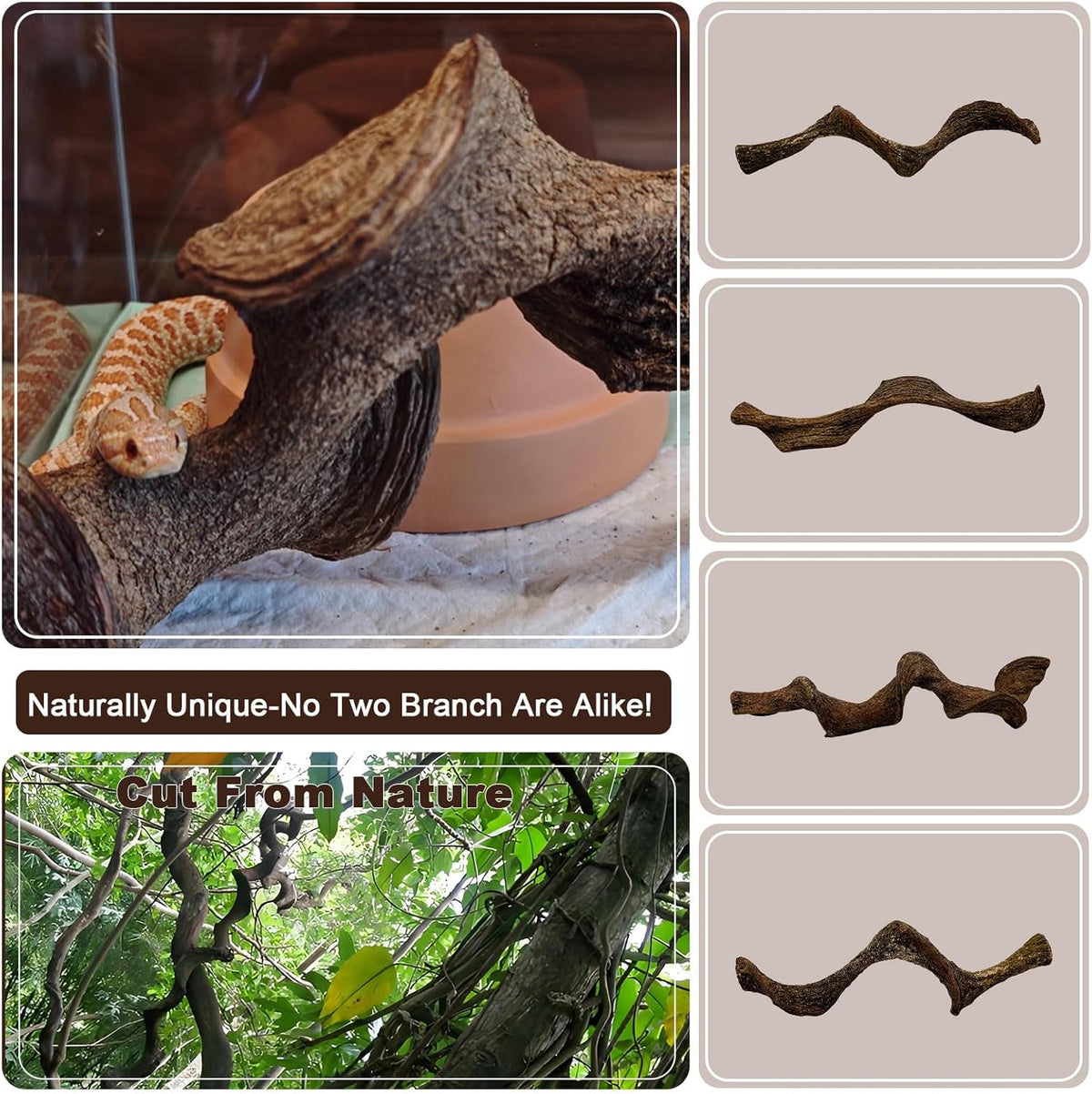 BNOSDM 4Pcs Reptile Climbing Branches Decor,Snake Climbing Branch,Gecko Climb Wood,Lizard Forest